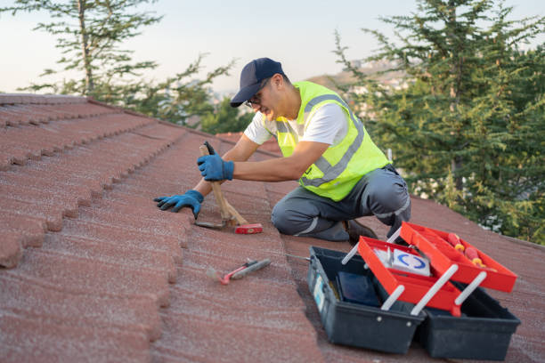 Best Metal Roofing Contractor  in Paddock Lake, WI